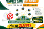 MSN (centrale électrique virtuelle)