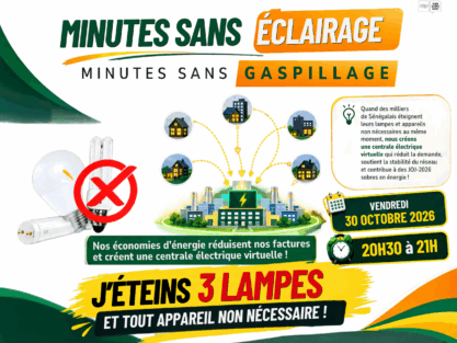 MSN (centrale électrique virtuelle)